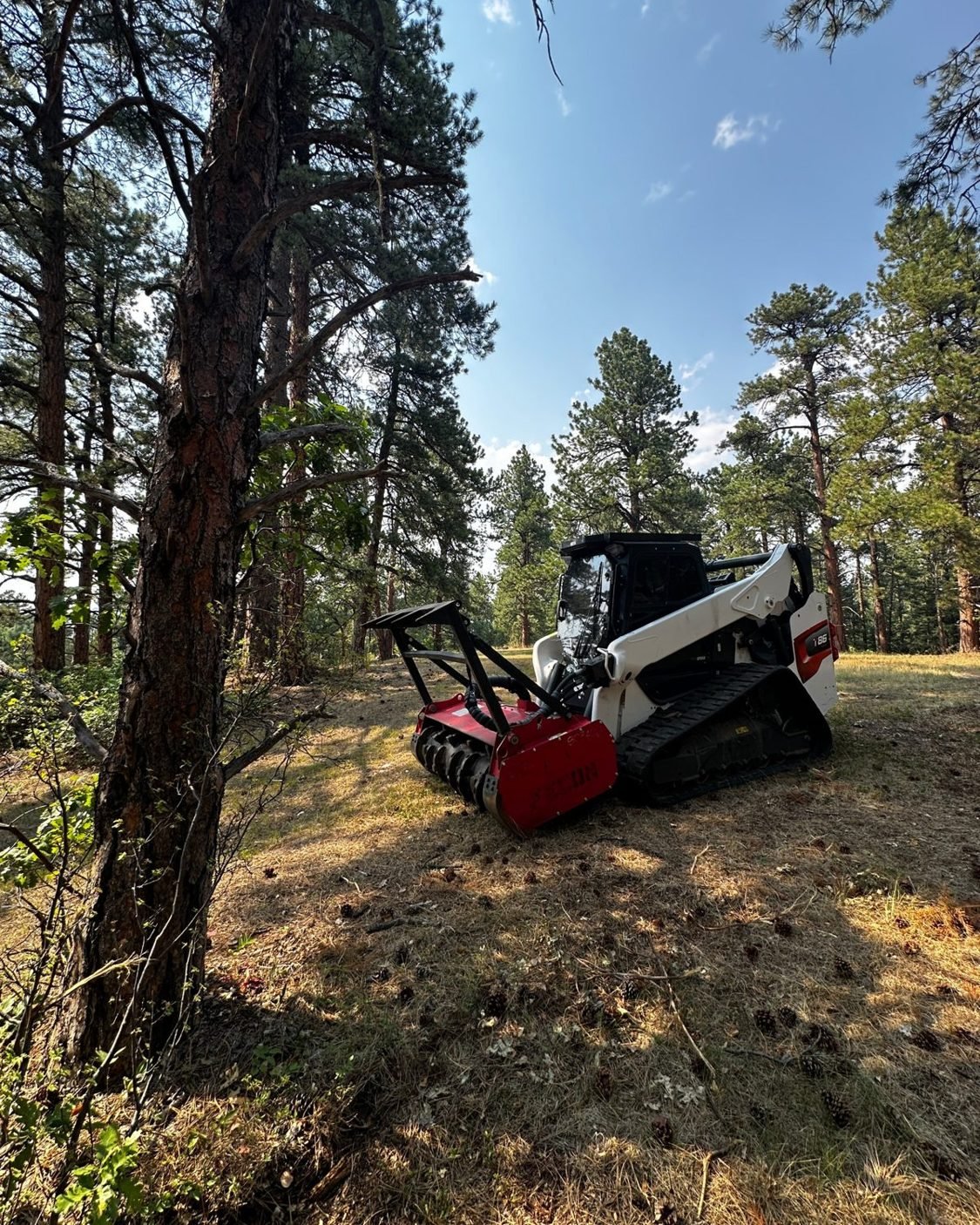 Blazeguard Bobcat T86 with a Fecon mulching head on a ponderosa pine slope in the Colorado foothills